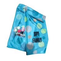 bufanda   spy family 22x160cm   1-24