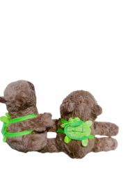 peluche   CABIPALA  c/busera  20cm  