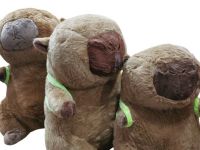 peluche CAPIBARA 30cm