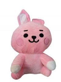 peluche  BTS   cooky   22cm